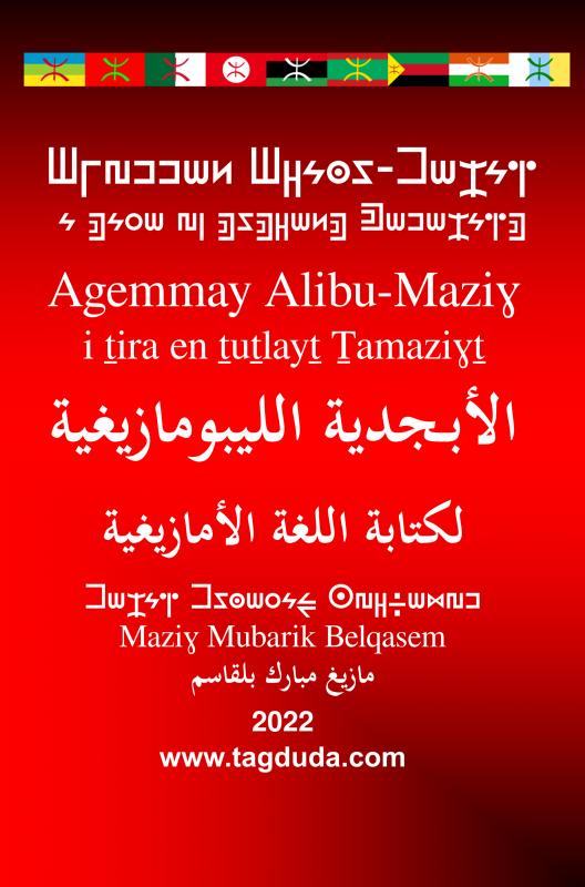 Omslag van Agemmay Alibu-Mazigh i tira en tutlayt Tamazight