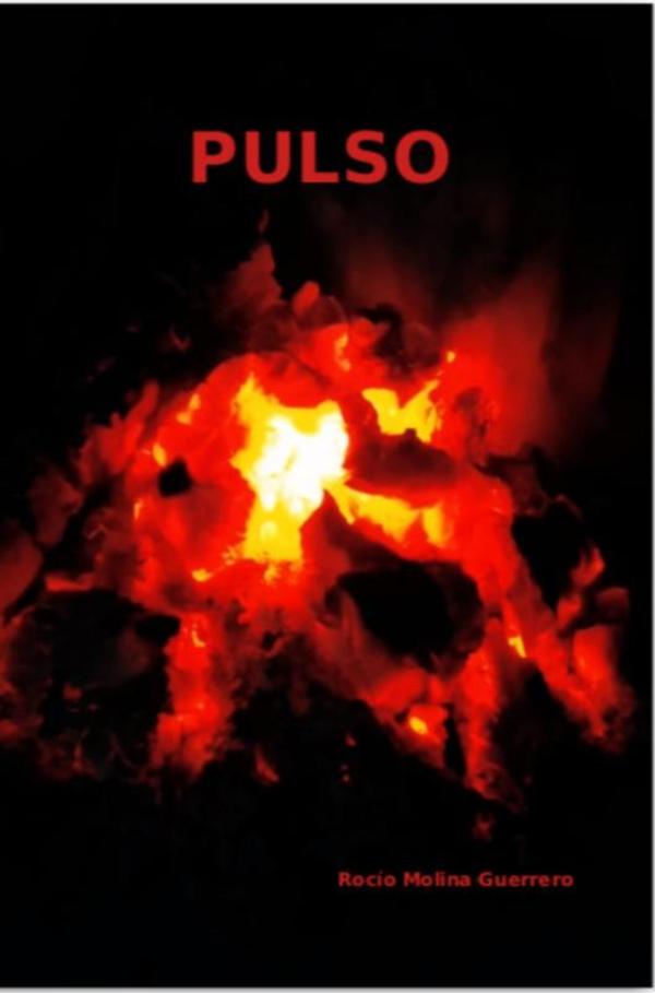 Omslag van Pulso