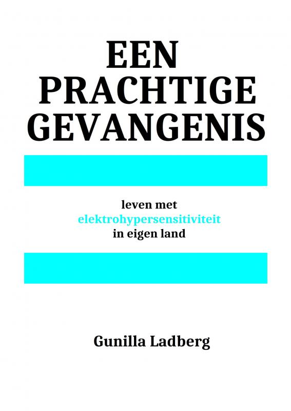 Omslag van Een prachtige gevangenis