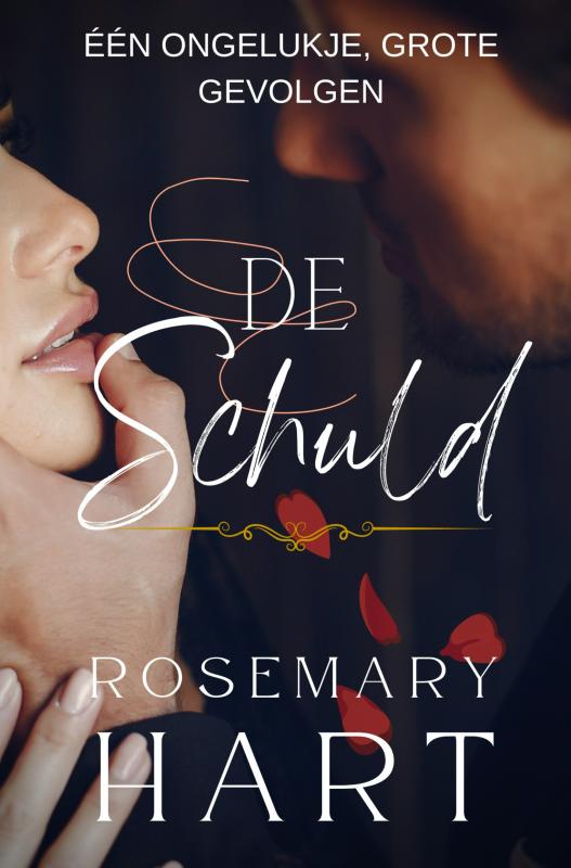 Omslag van De Schuld