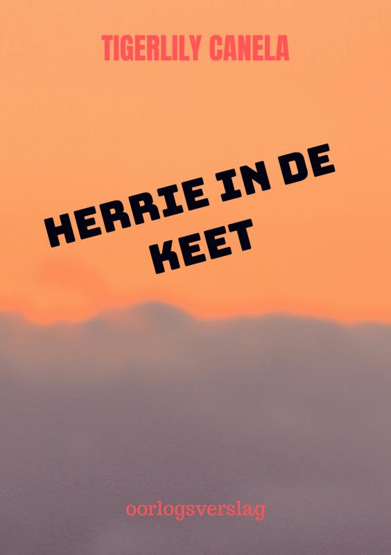Omslag van Herrie in de keet