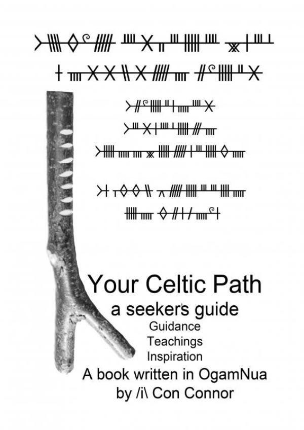 Omslag van Your Celtic Path a seekers guide