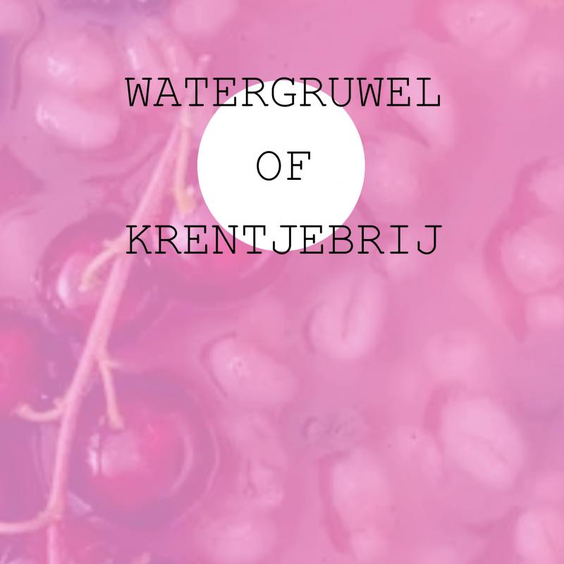 Omslag van Watergruwel of Krentjebrij