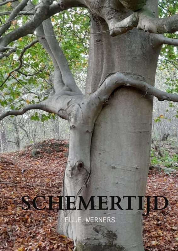 Omslag van SCHEMERTIJD