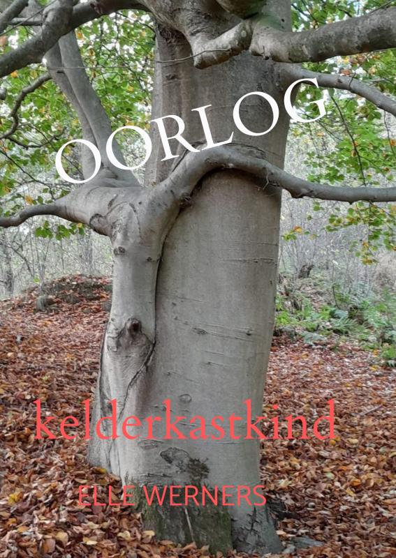Omslag van OORLOG