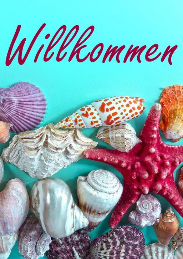 Omslag van Willkommen