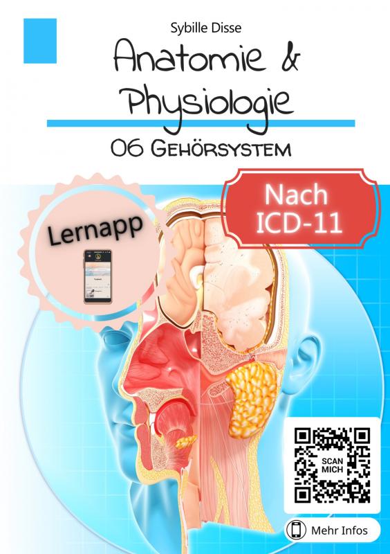 Omslag van Anatomie & Physiologie Band 06: Gehörsystem