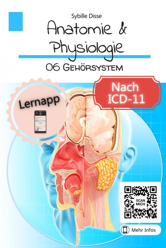Omslag van Anatomie & Physiologie Band 06: Gehörsystem