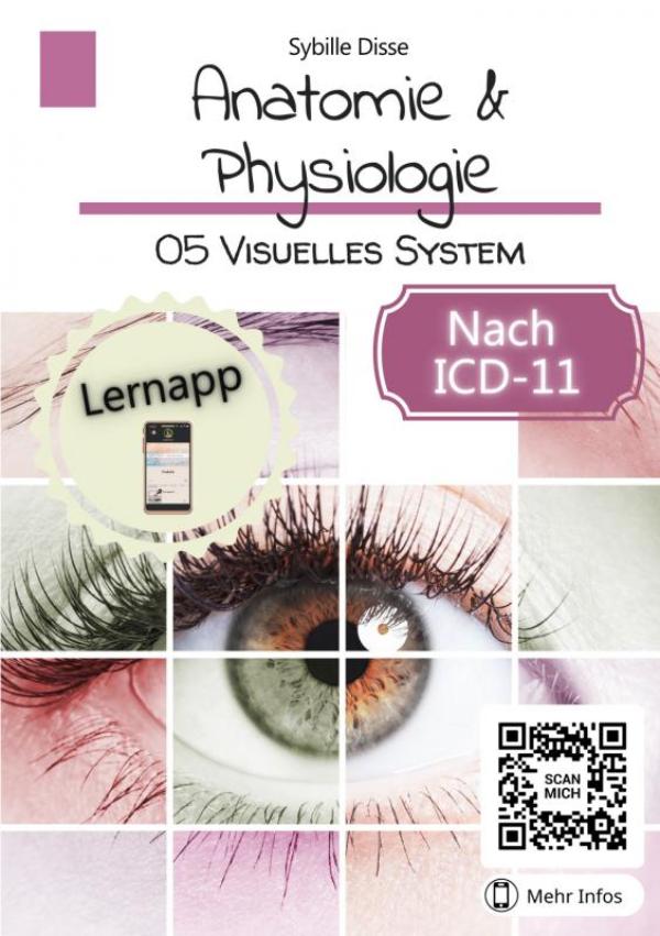 Omslag van Anatomie & Physiologie Band 05: Visuelles System