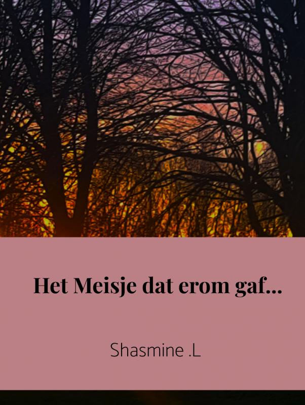 Omslag van Het Meisje dat erom gaf...