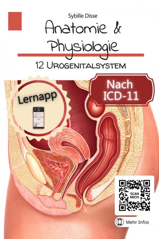 Omslag van Anatomie & Physiologie Band 12: Urogenitalsystem