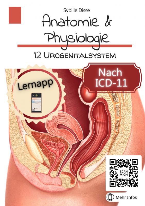 Omslag van Anatomie & Physiologie Band 12: Urogenitalsystem