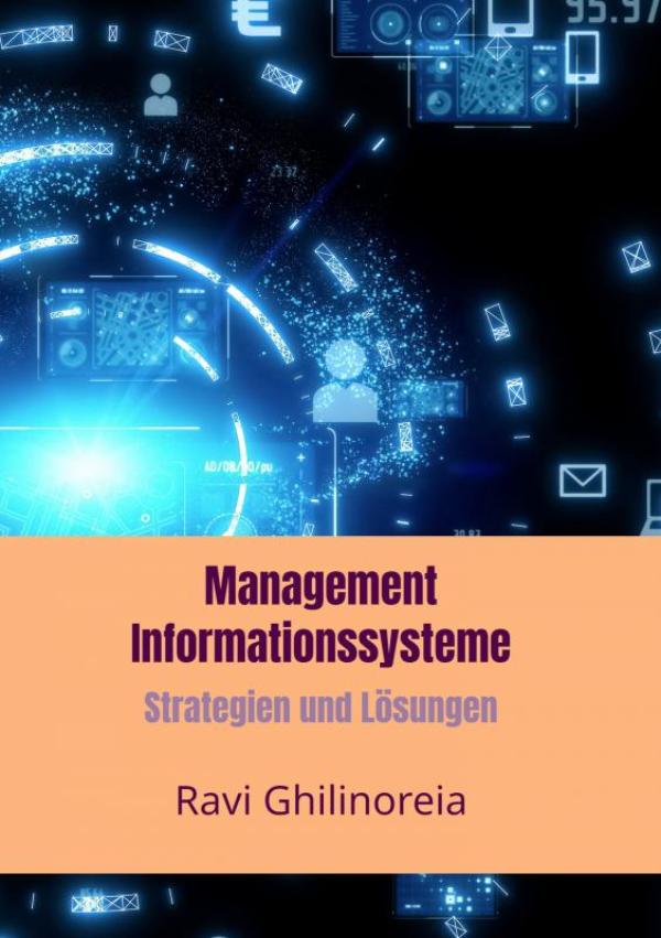 Omslag van Management Informationssysteme