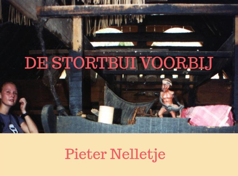 Omslag van DE STORTBUI VOORBIJ