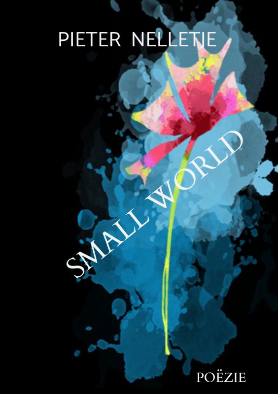 Omslag van SMALL WORLD
