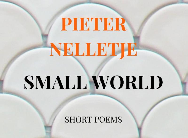 Omslag van SMALL WORLD