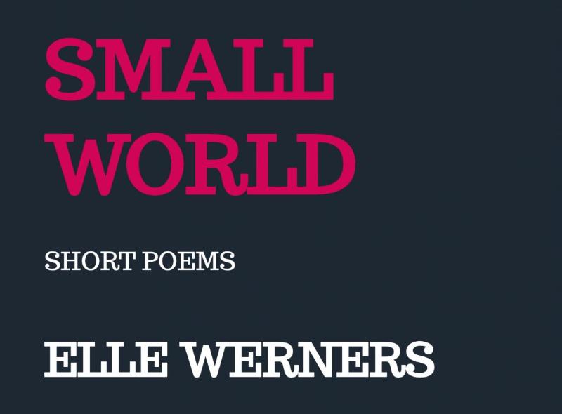 Omslag van SMALL WORLD