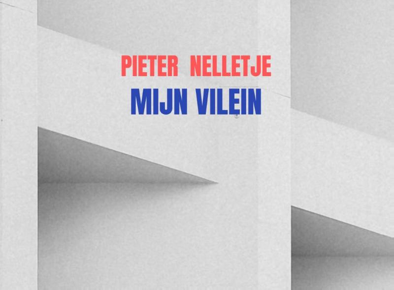 Omslag van MIJN VILEIN