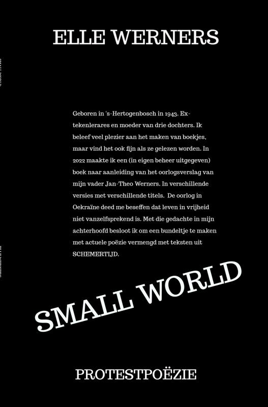 Omslag van SMALL WORLD