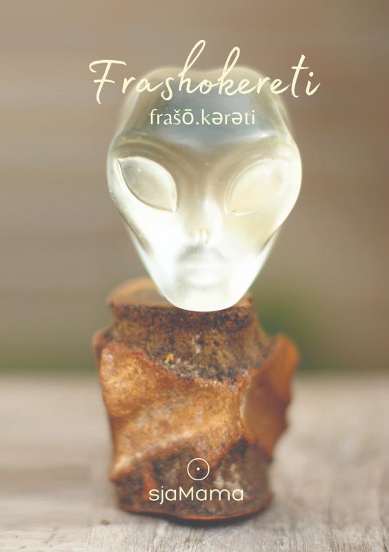 Omslag van Frashokereti