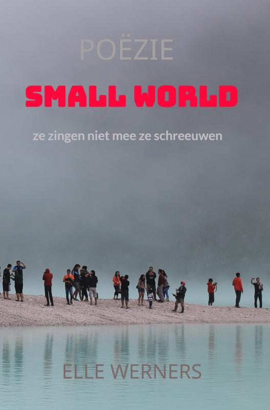 Omslag van SMALL WORLD