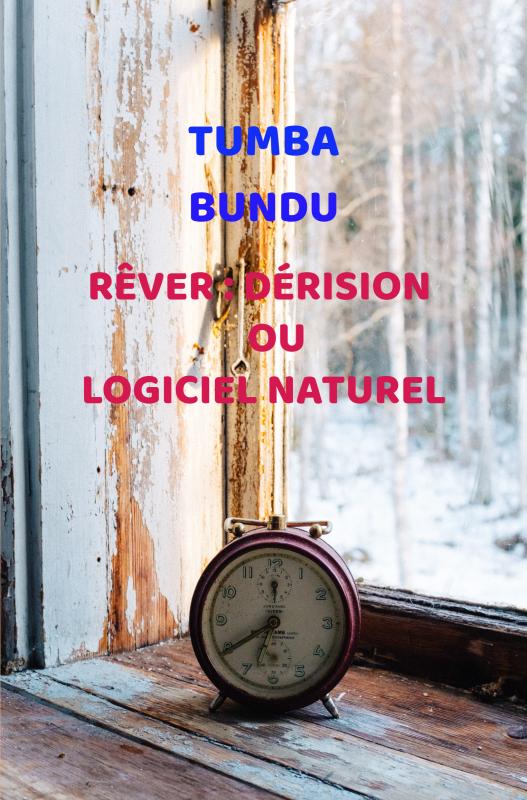 Omslag van Rêver : Dérision ou Logiciel naturel