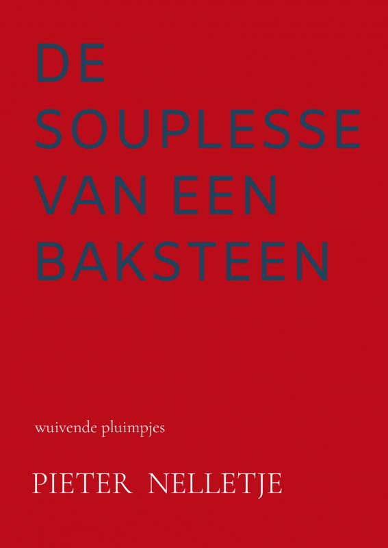 Omslag van De Souplesse van een Baksteen