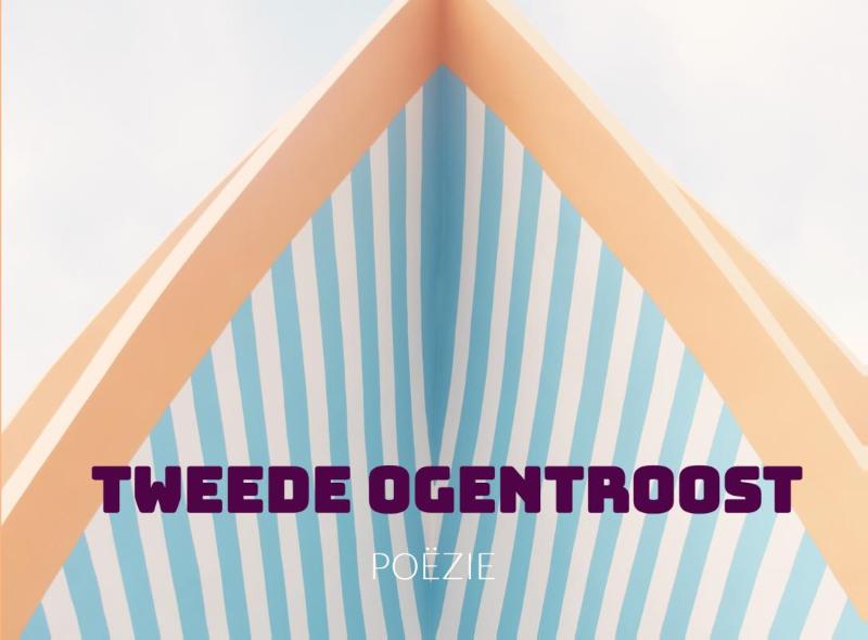 Omslag van TWEEDE OGENTROOST