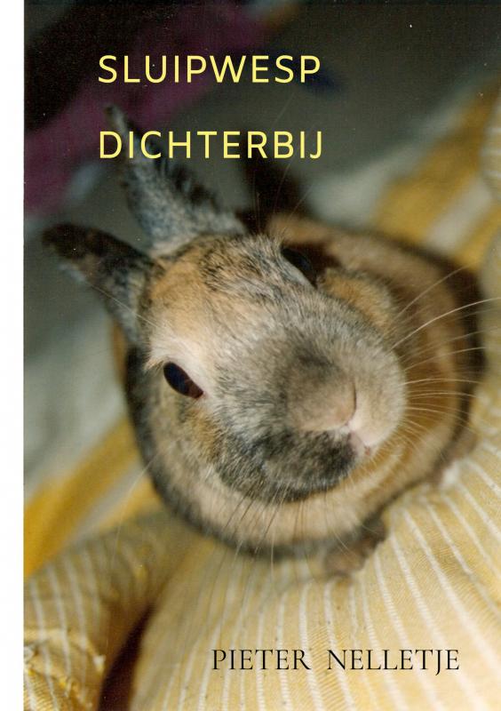 Omslag van SLUIPWESP