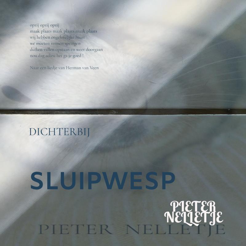Omslag van SLUIPWESP