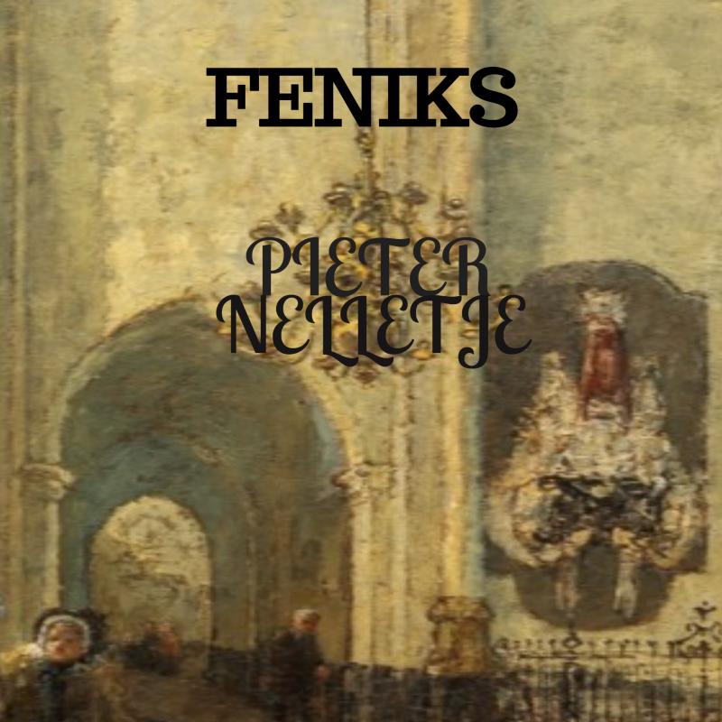 Omslag van FENIKS