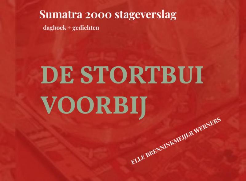 Omslag van DE STORTBUI VOORBIJ