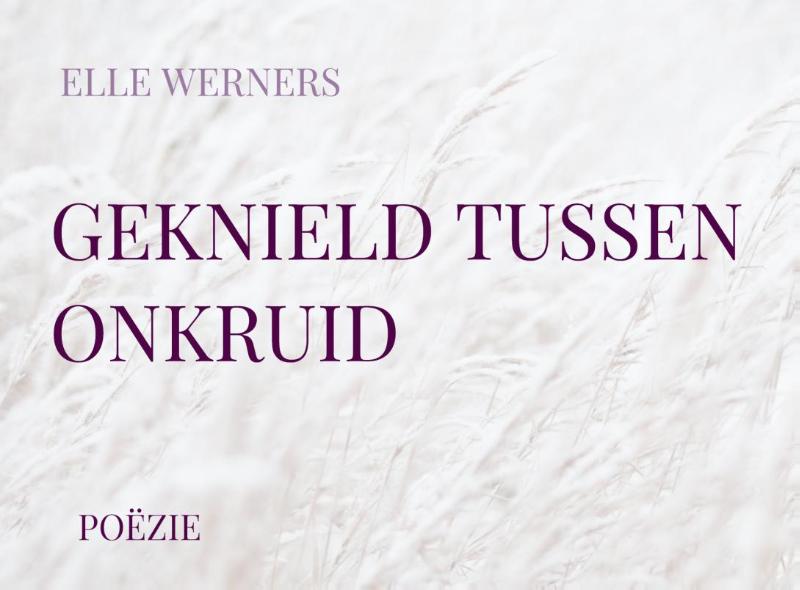 Omslag van GEKNIELD TUSSEN ONKRUID