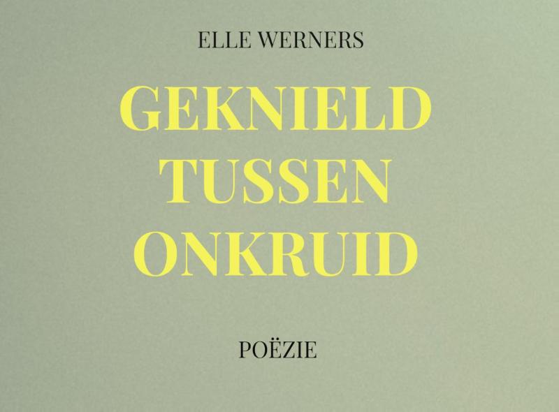 Omslag van GEKNIELD TUSSEN ONKRUID