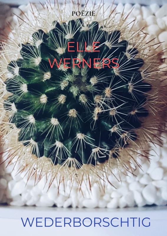 Omslag van WEDERBORSCHTIG