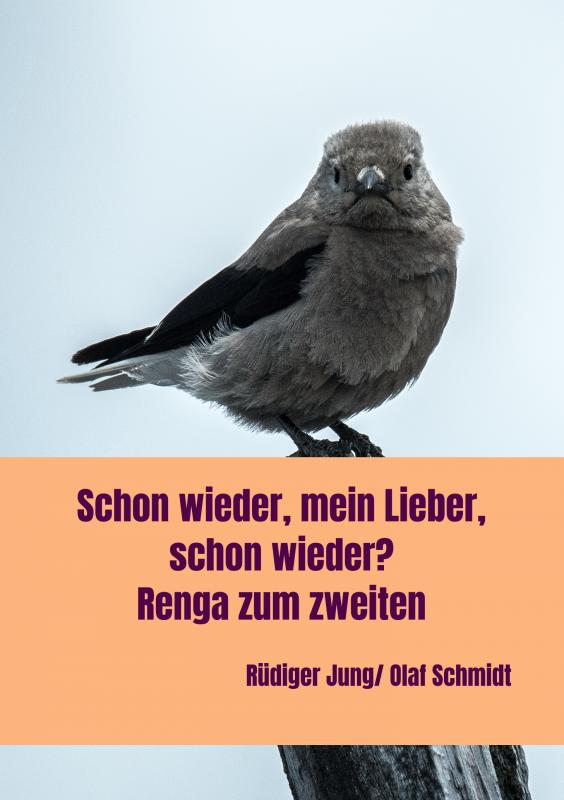 Omslag van der zweite teil