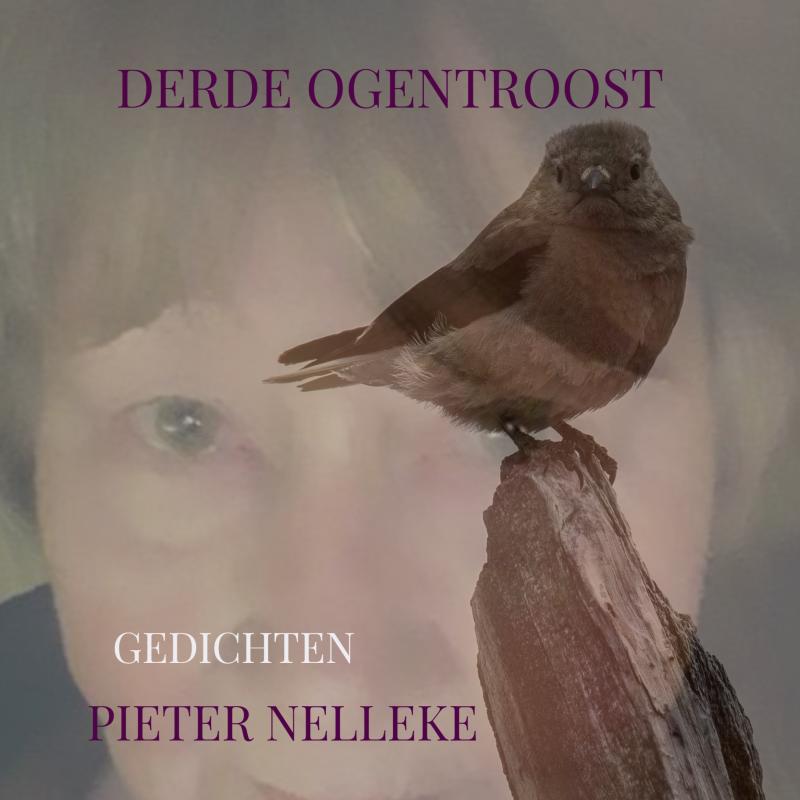 Omslag van DERDE OGENTROOST