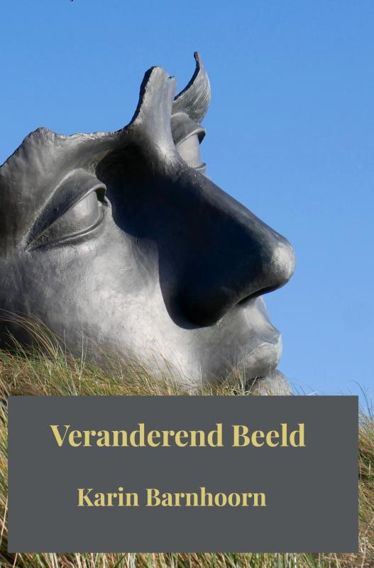 Omslag van Veranderend Beeld
