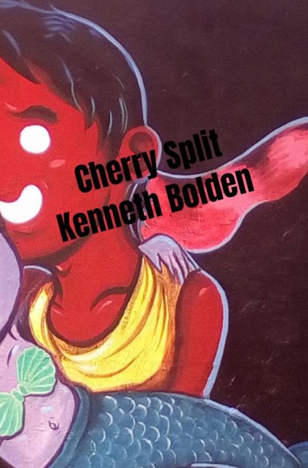 Omslag van Cherry Split Kenneth Bolden