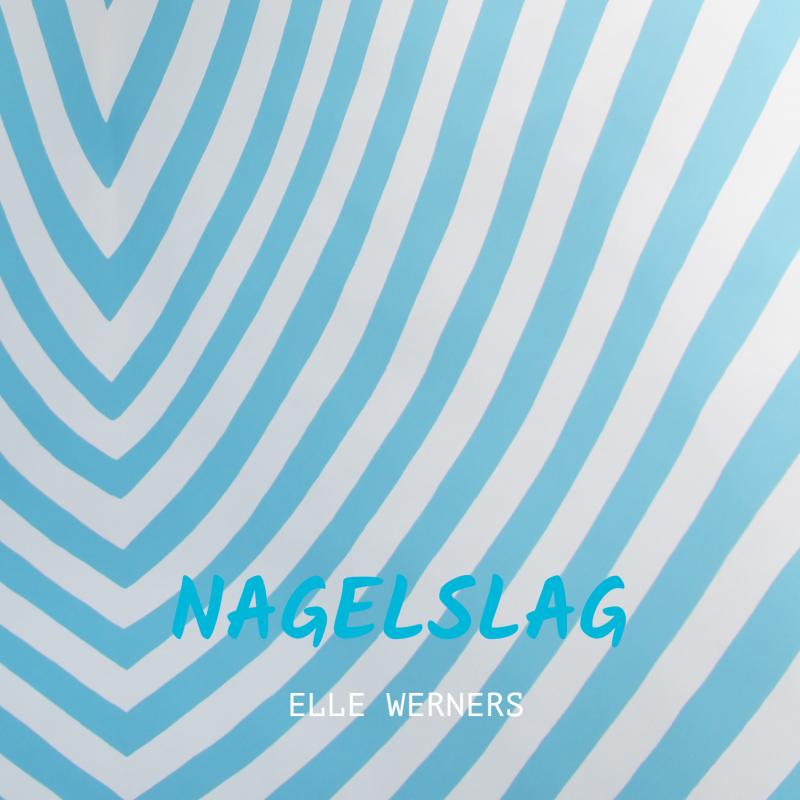 Omslag van NAGELSLAG