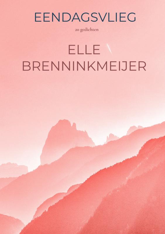 Omslag van EENDAGSVLIEG
