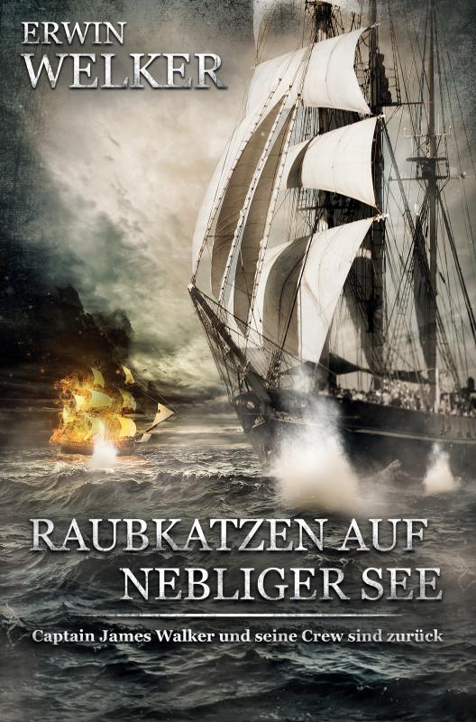 Omslag van Raubkatzen auf nebliger See