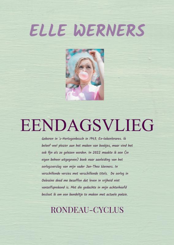 Omslag van EENDAGSVLIEG II