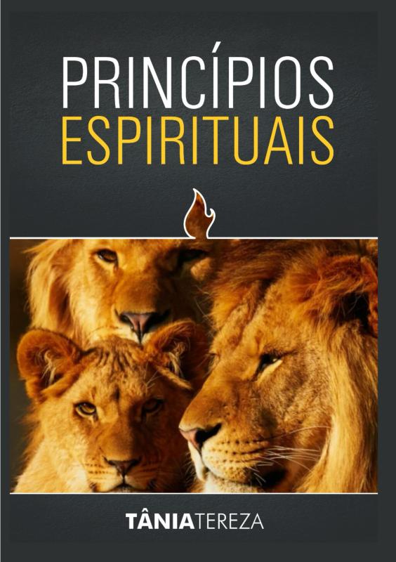 Omslag van Princípios Espirituais