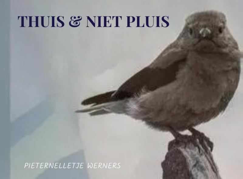 Omslag van THUIS & NIET PLUIS thuisfrontgedichten