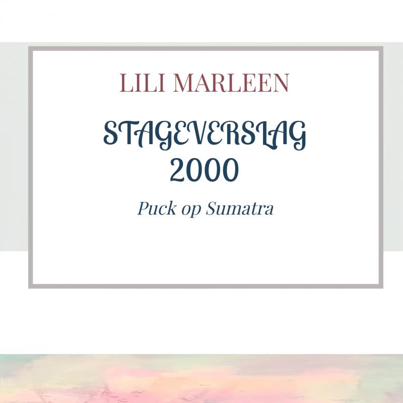 Omslag van STAGEVERSLAG 2000