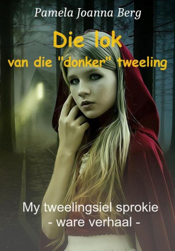 Omslag van Die lok van die „donker“ tweeling