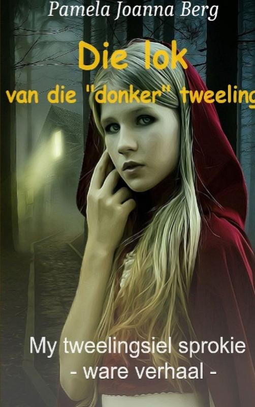 Omslag van Die lok van die „donker“ tweeling