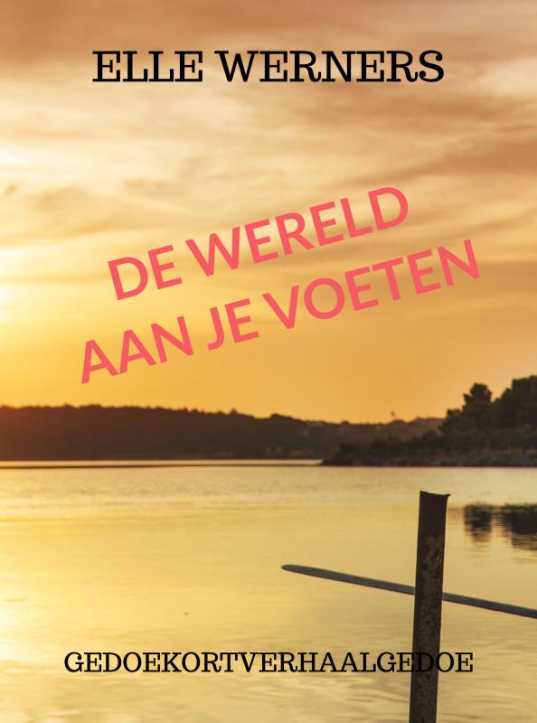 Omslag van DE WERELD AAN JE VOETEN