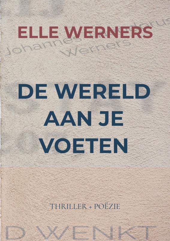 Omslag van DE WERELD AAN JE VOETEN